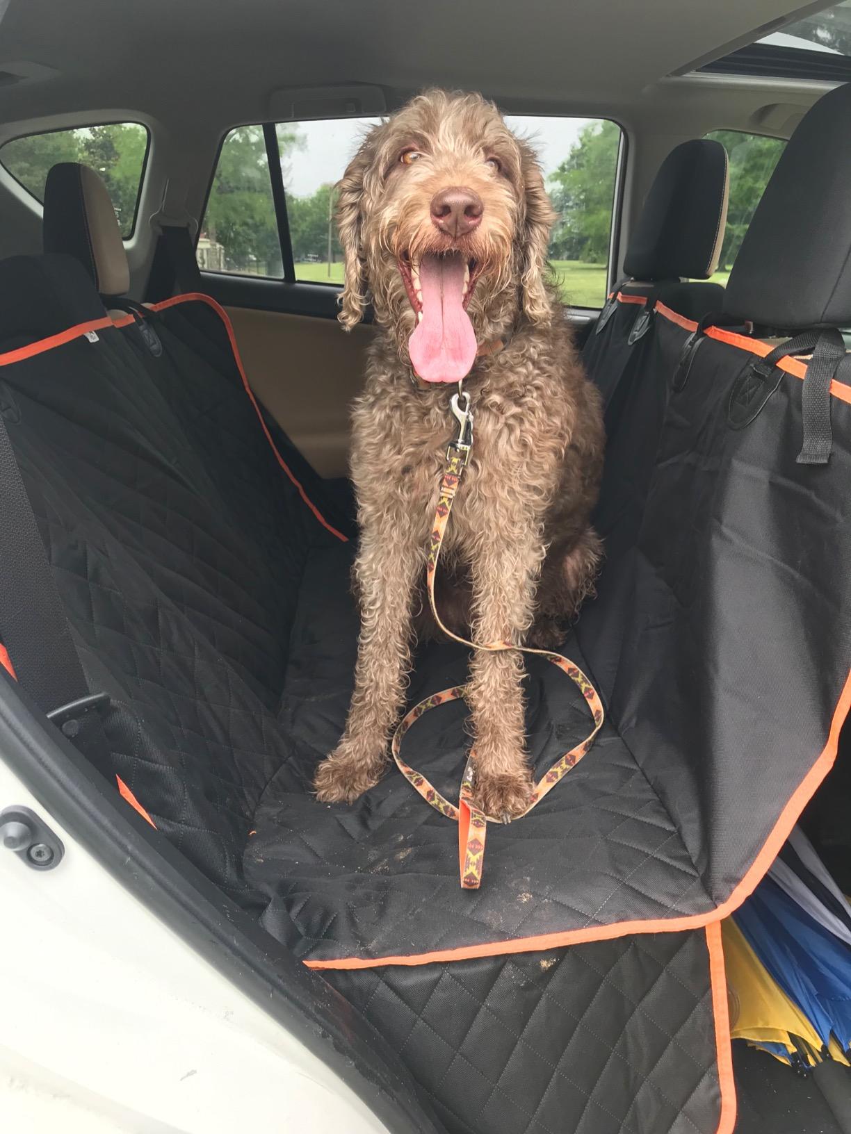 Pawesome™ Car Seat Cover