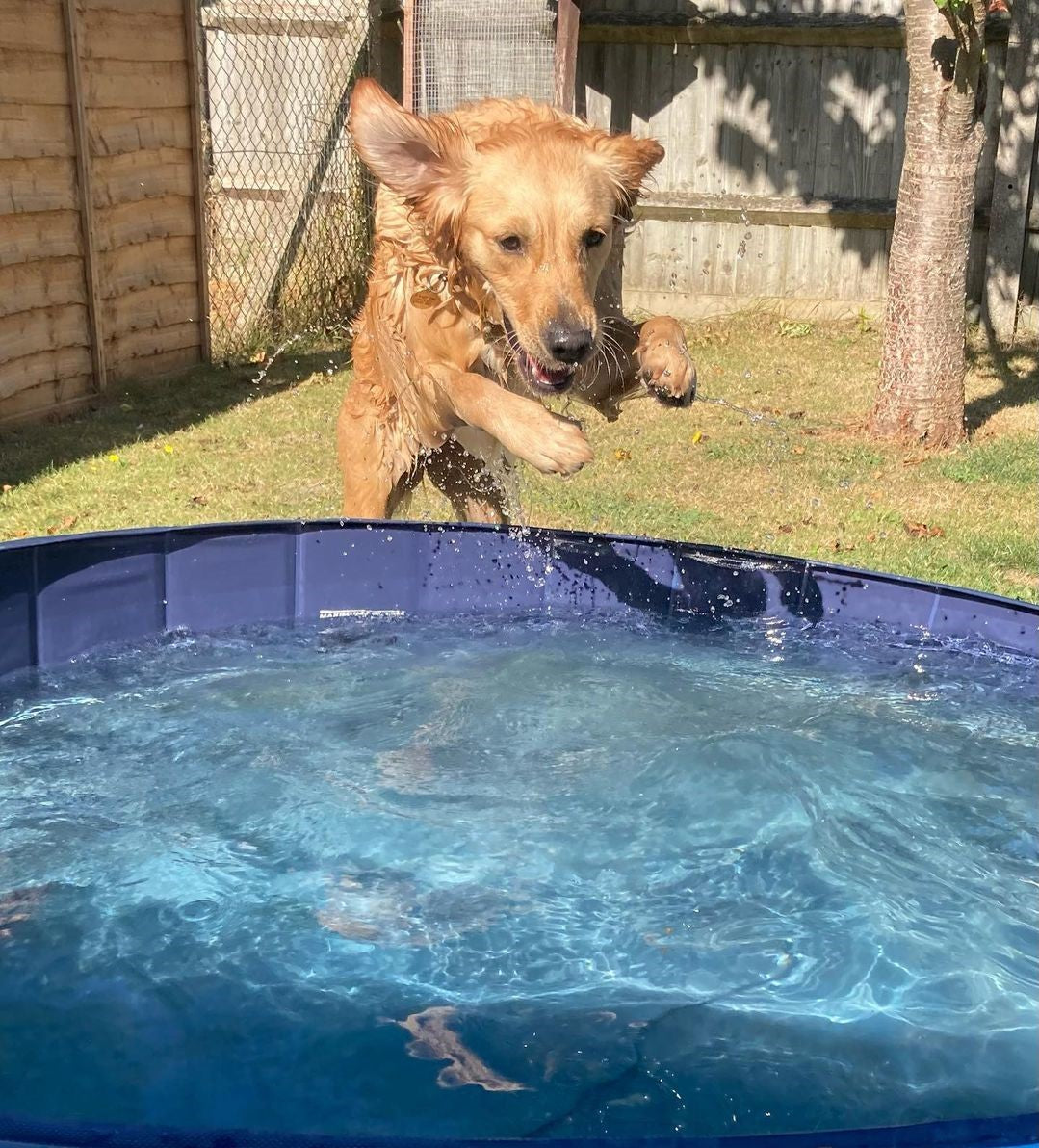 Pawesome™ Portable Dog Pool