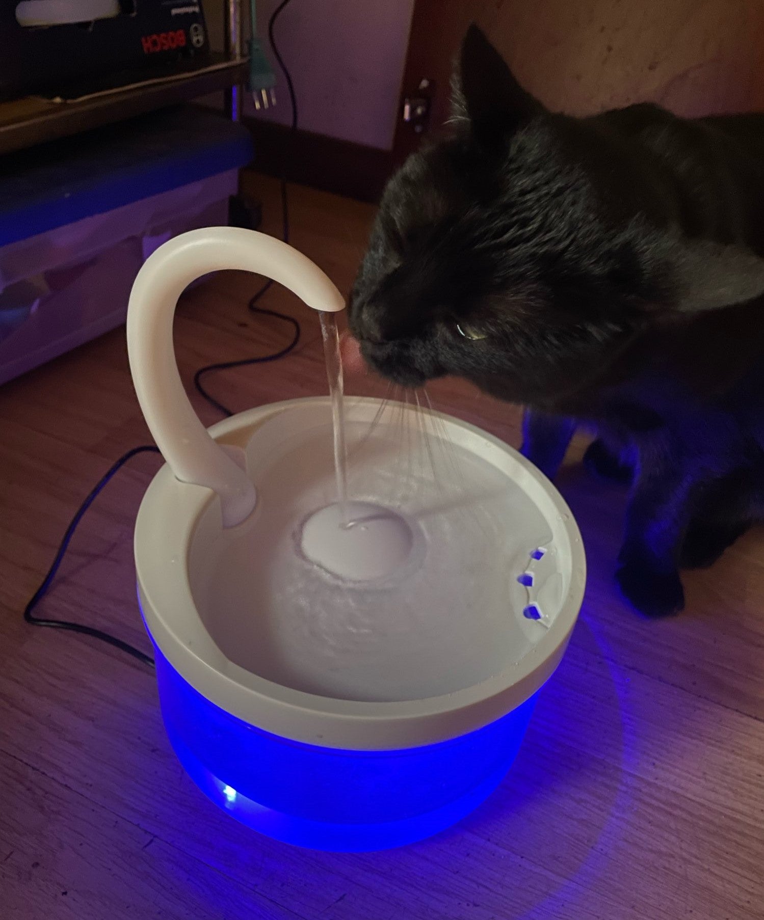 PuraDrink™ Cat Fountain (Bundle Offer)