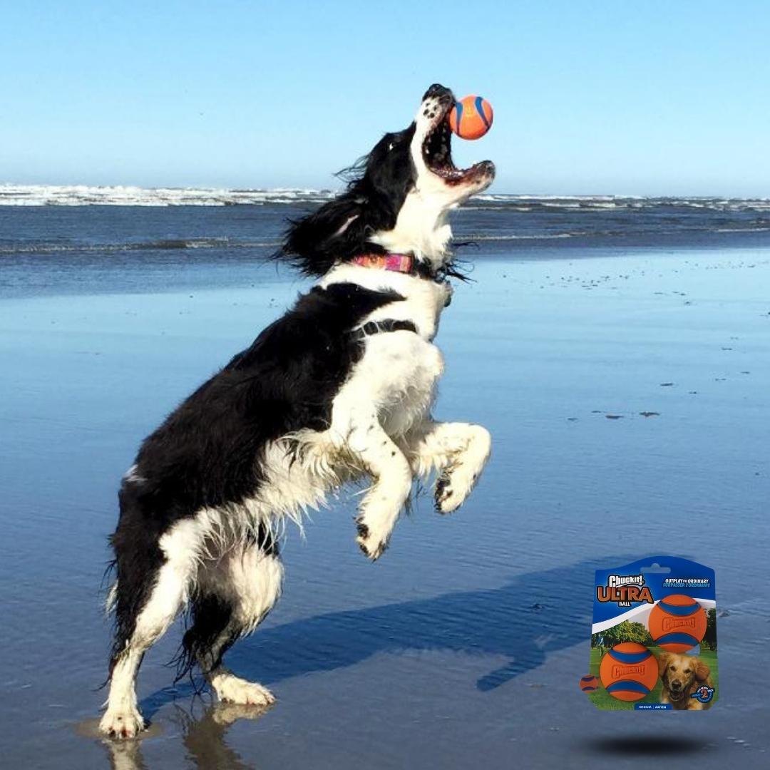 Pawesome™ Indestructible Fetch Balls - 2 Pack