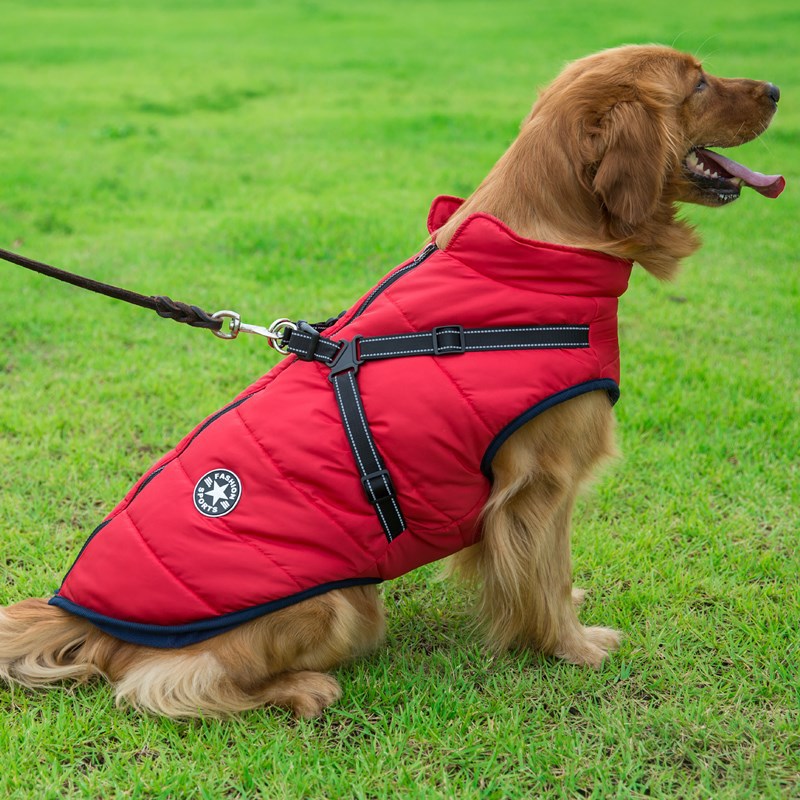 Pawesome™ All Weatherproof Dog Jacket