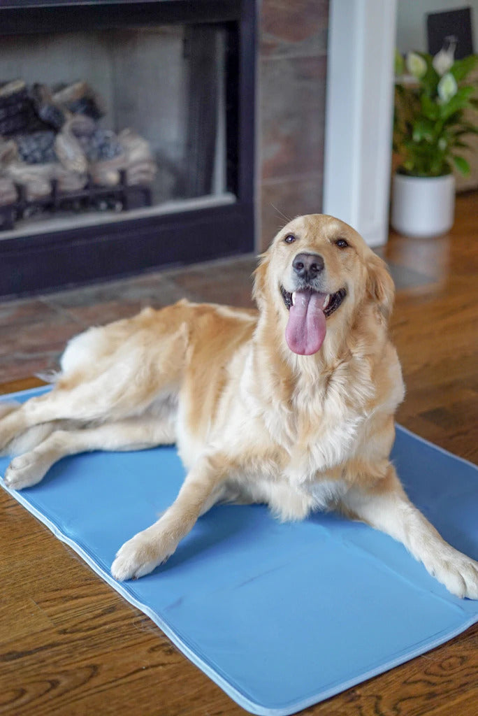 Pawesome™ Pet Cooling Mat (Bundle Offer)