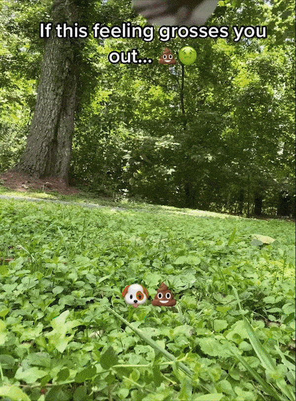 Pawesome™ Portable Pooper Scooper